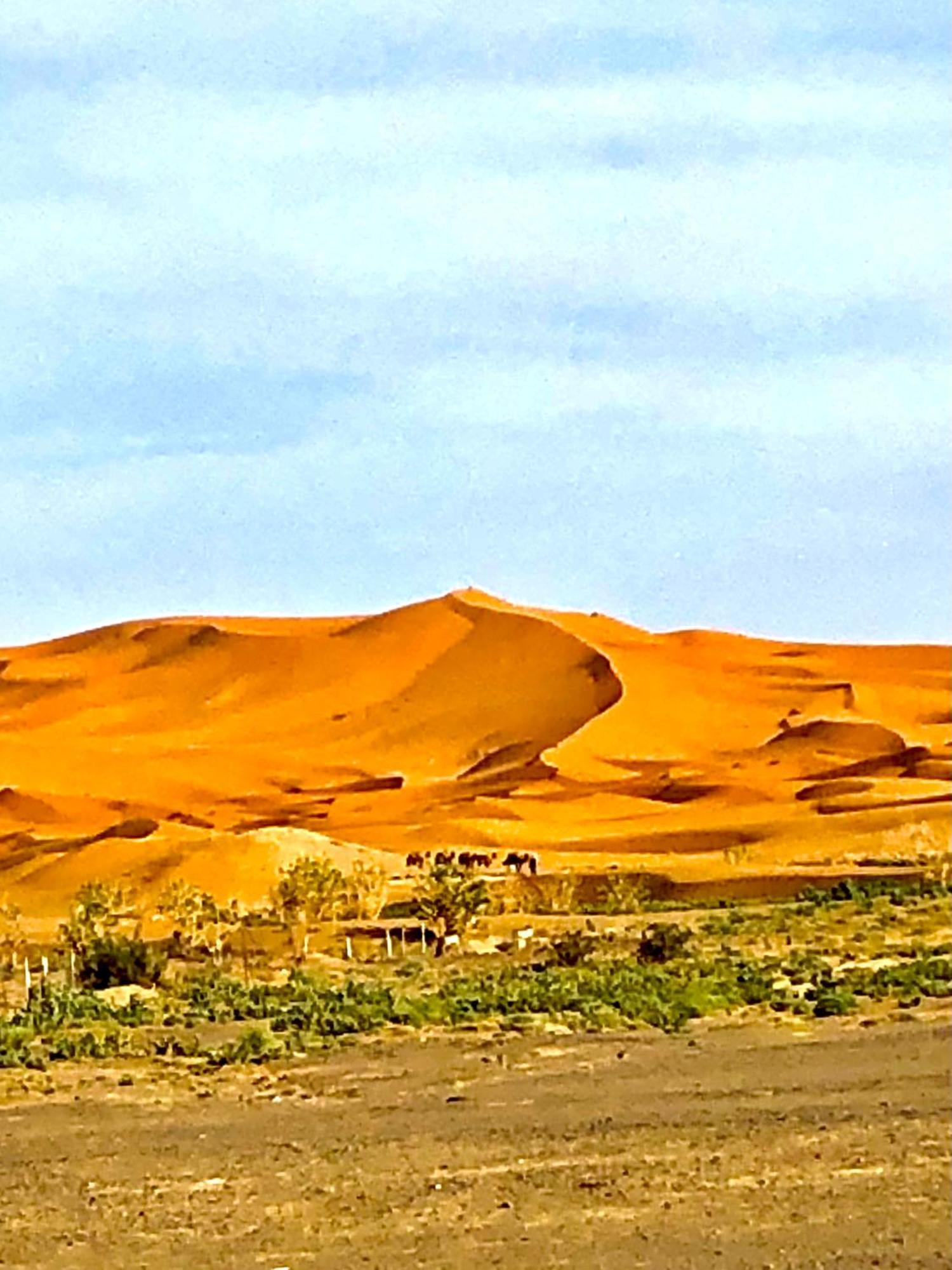 Bivouac La Fibule Des Dunes Merzouga Εξωτερικό φωτογραφία